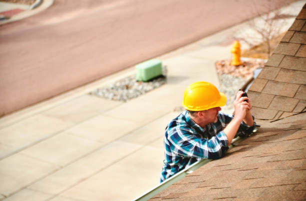 Best Roof Gutter Cleaning  in Millington, TN
